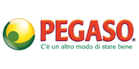 PegasoVR